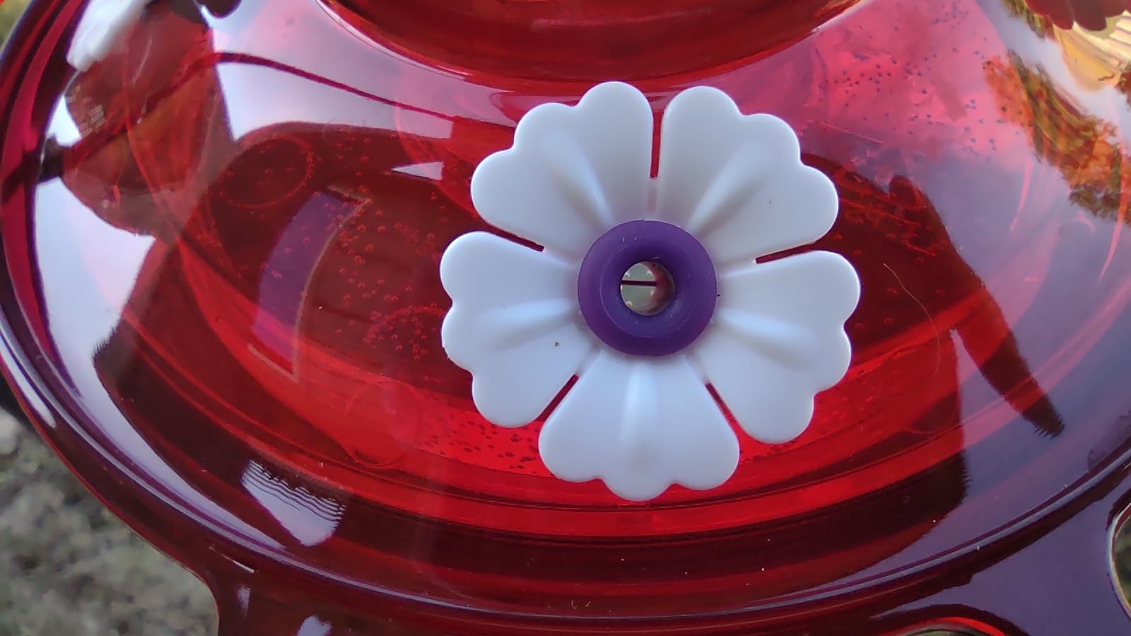 More Birds Bird Health+ Ruby Hummingbird Feeder, Glass Hummingbird Feeders for Outdoors, 4 Feeding Stations, 10 Ounces, Ruby Red customer photo 2