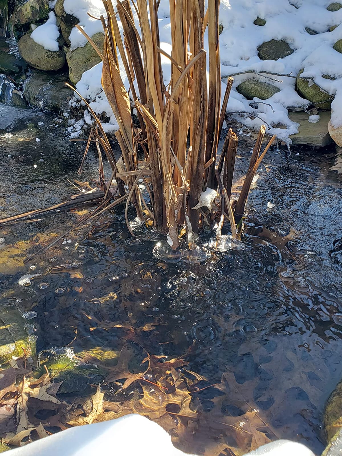 Aquascape 75000 Pond Air 2 (Double Outlet Aeration Kit) customer photo 1