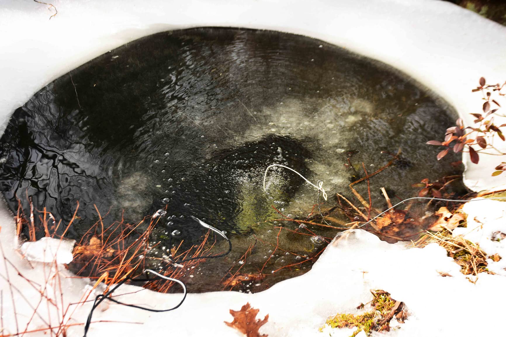 Aquascape 75000 Pond Air 2 (Double Outlet Aeration Kit) customer photo 2