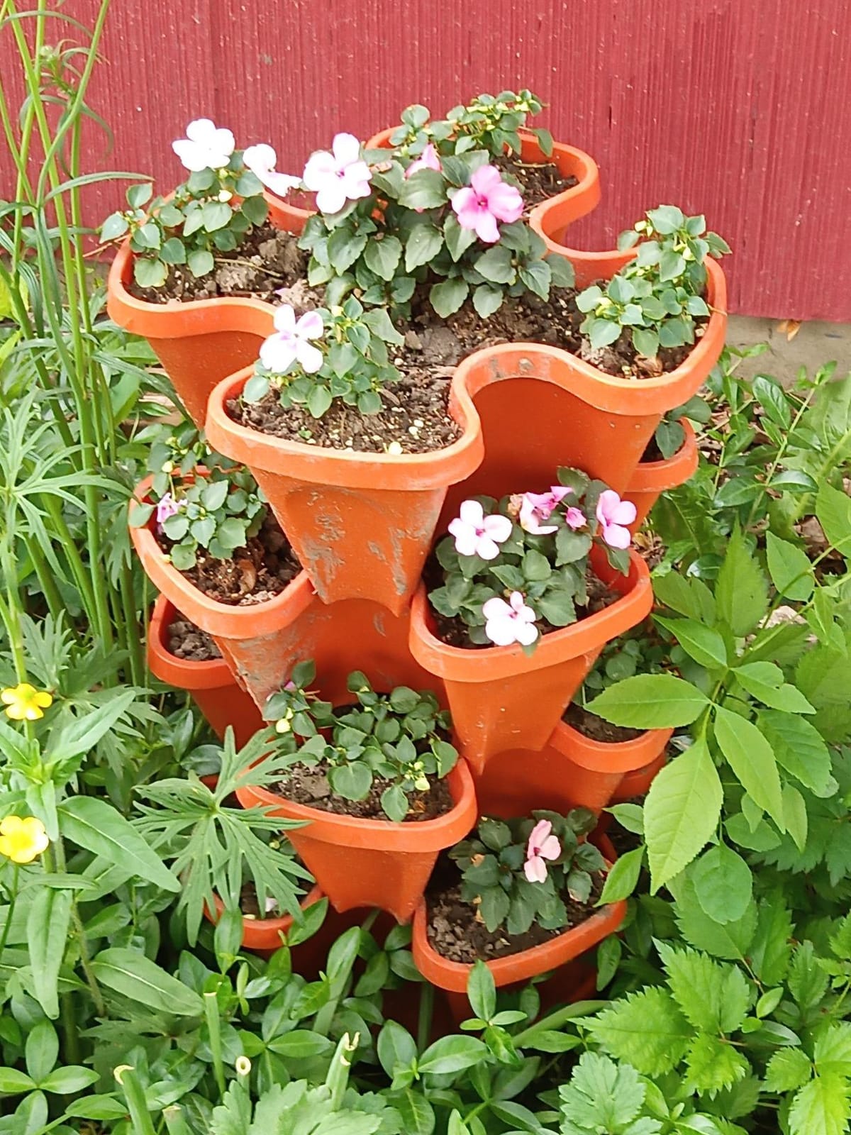 5 Tier Stackable Strawberry, Herb, Flower, and Vegetable Planter - Vertical Garden Indoor/Outdoor customer photo 1