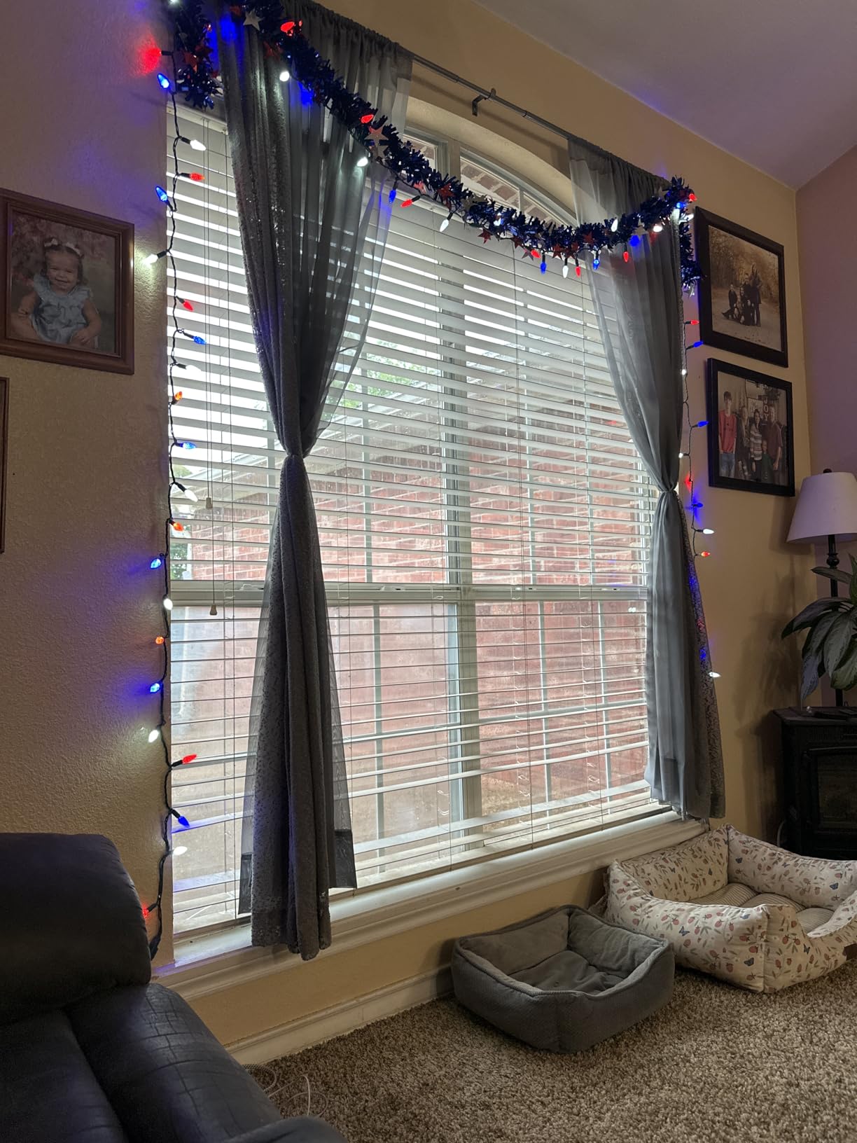 Novelty Lights 24FT 70 LED C6 Christmas String Lights, Blue & Orange customer photo 2