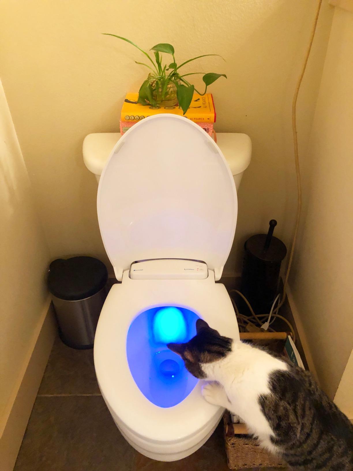 Brondell L60-EW LumaWarm Heated Nightlight Elongated Toilet Seat, White customer photo 1