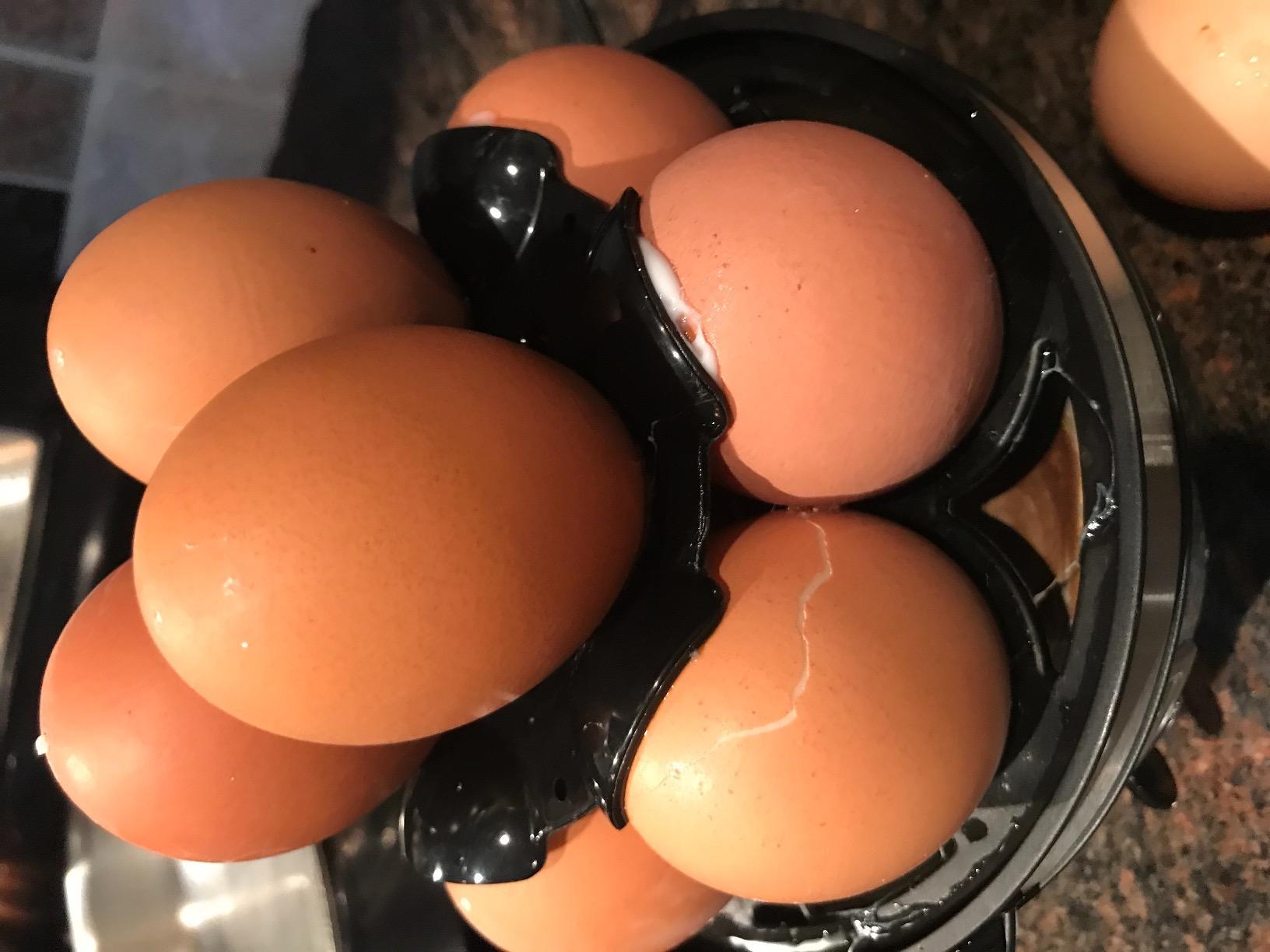 Cuisinart CEC-10 Egg Central Egg Cooker, Brushed Stainless Steel customer photo 2