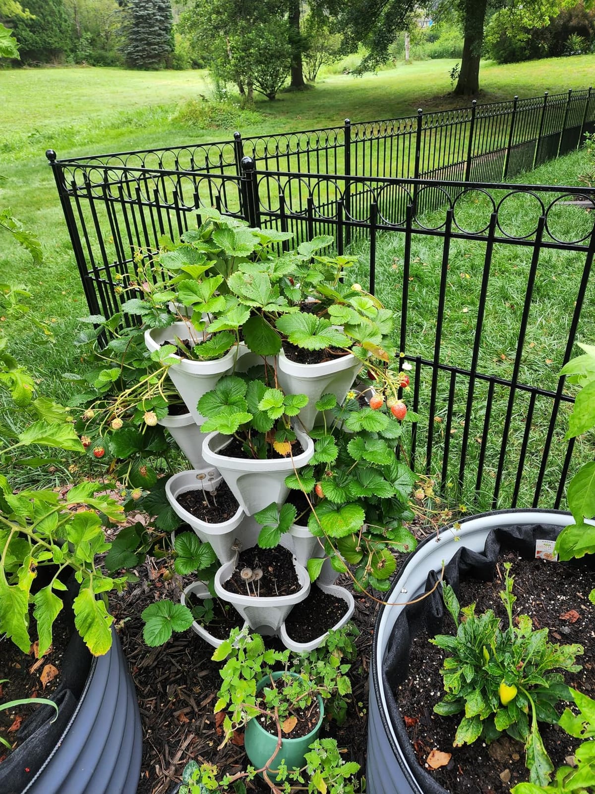 Mr. Stacky 5 Tiered Vertical Gardening Planter, Indoor & Outdoor customer photo 1