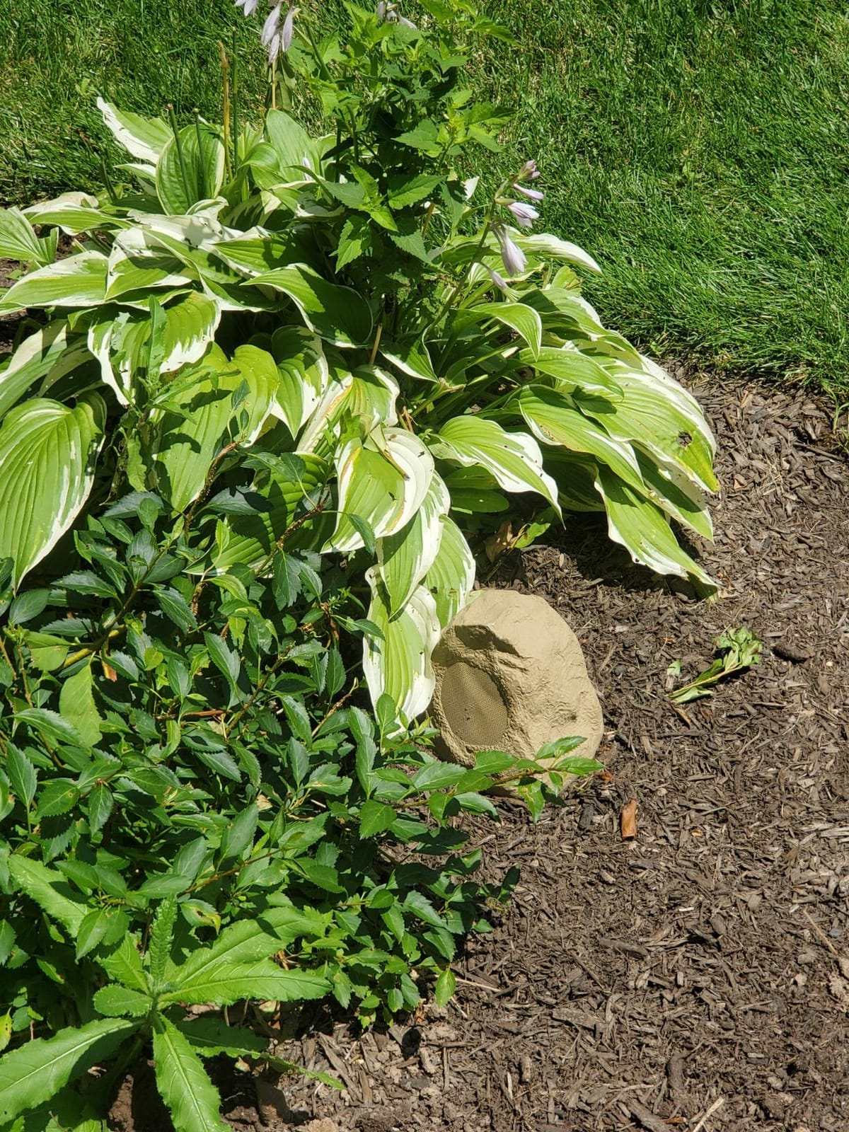 Theater Solutions 2R8S Outdoor Sandstone 8