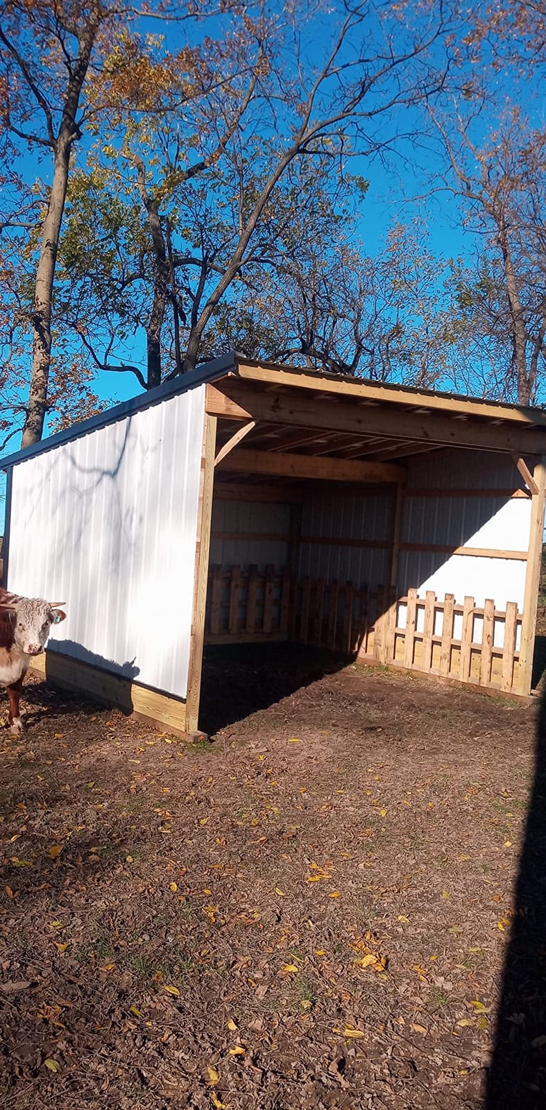 Little Giant Velocity, Aluminum Ladder, 18 ft Reach, 15417-001 customer photo 1