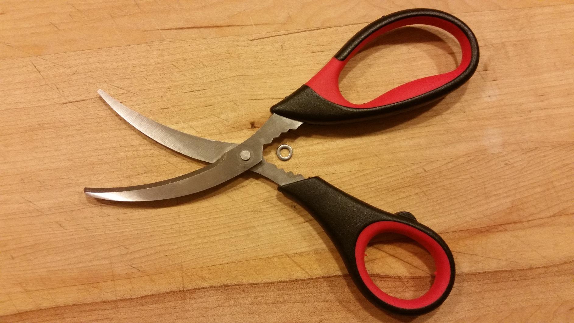 RSVP International Endurance Collection Seafood Tool, Scissors, Stainless Steel customer photo 1