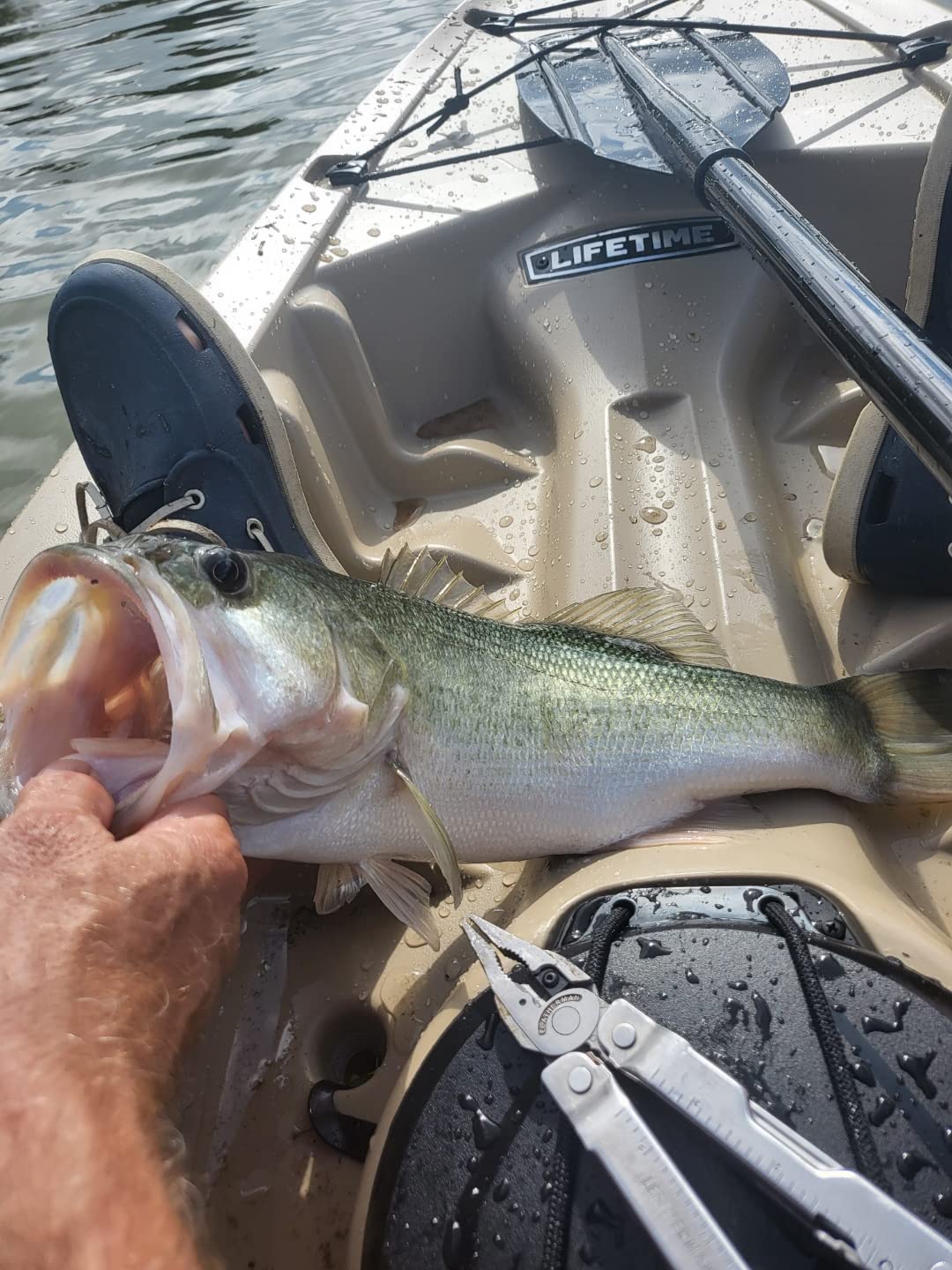 Lifetime Tamarack Angler 100 Fishing Kayak customer photo 2