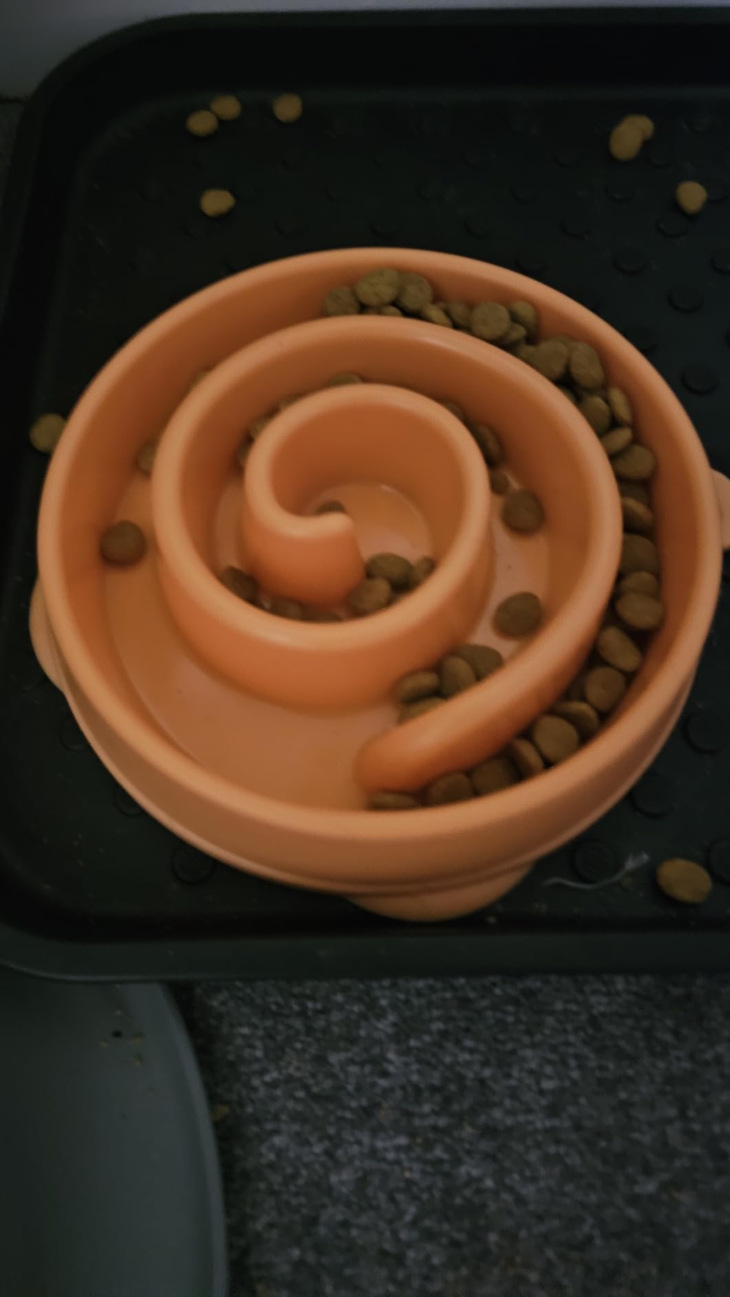 Outward Hound Fun Feeder Slo Bowl - Large 4-Cup Capacity, Slow Feeding, Medium to Large Dogs, Non-Slip, Turquoise, Drop Pattern customer photo 1