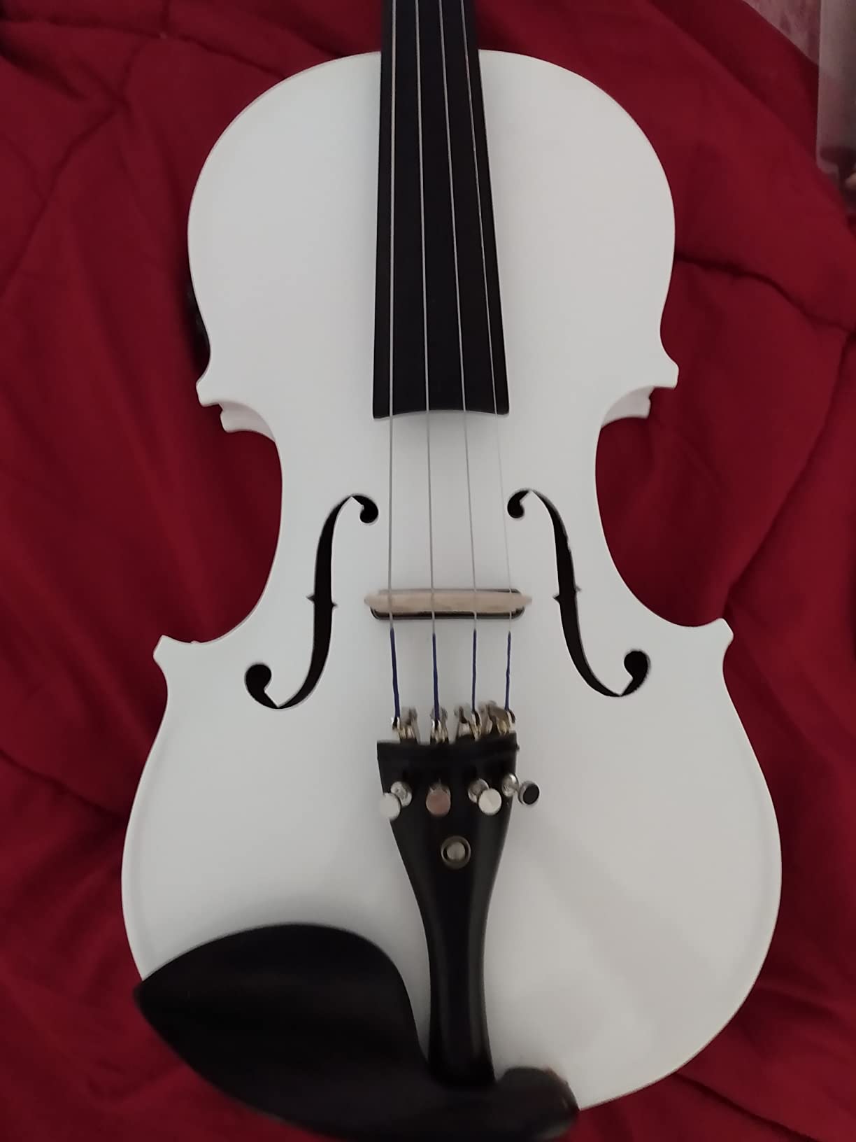 Cecilio 4/4 Full Size Acoustic & Electric Violin for Beginners & Professionals, Hand-Carved Solid Spruce Top, Ebony Fine Tuners, Full Set with Case, Bow, Rosin & AUX Cable (Metallic Black) customer photo 1