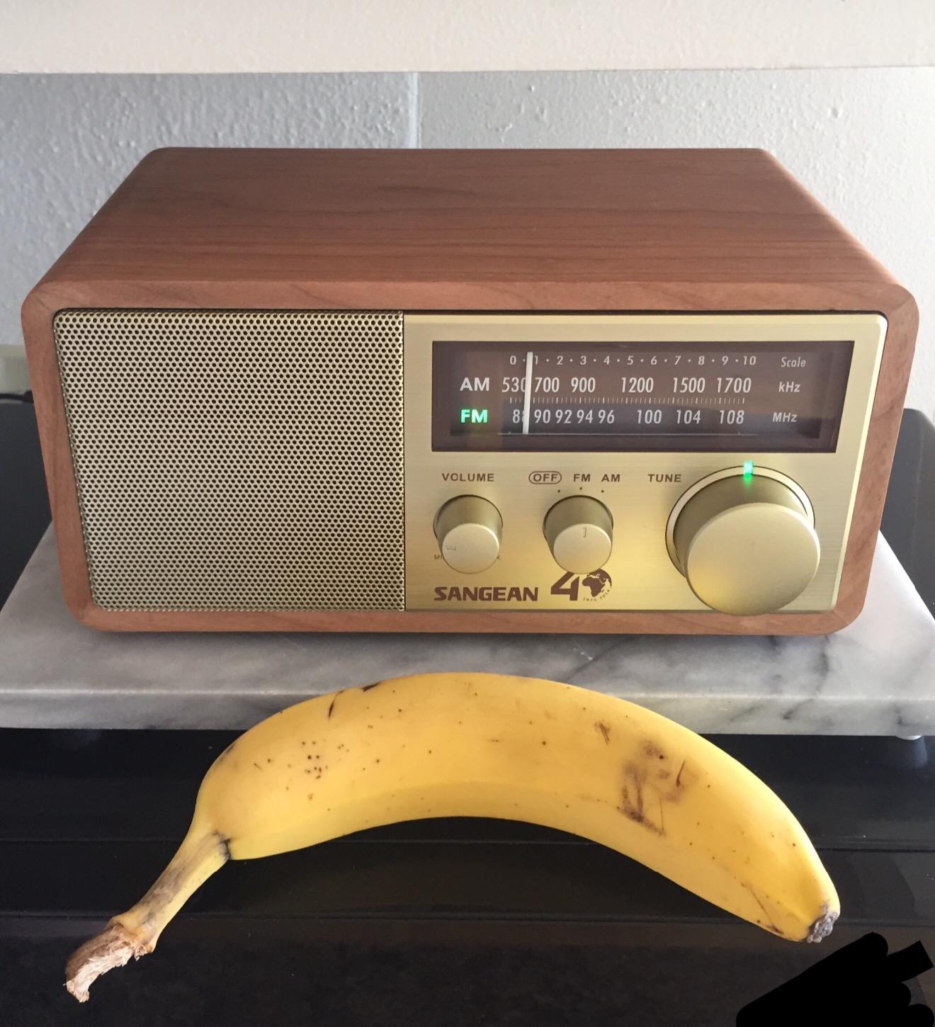 Sangean WR-11SE AM/FM Tabletop Radio, Walnut Finish customer photo 2
