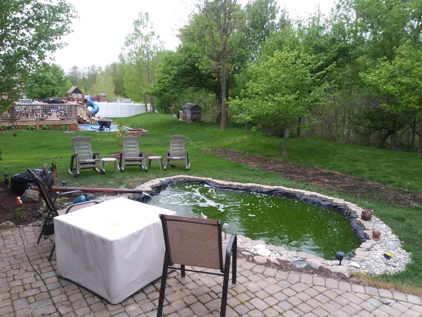 OASE Vitronic 18 UV Clarifier for Pond customer photo 2