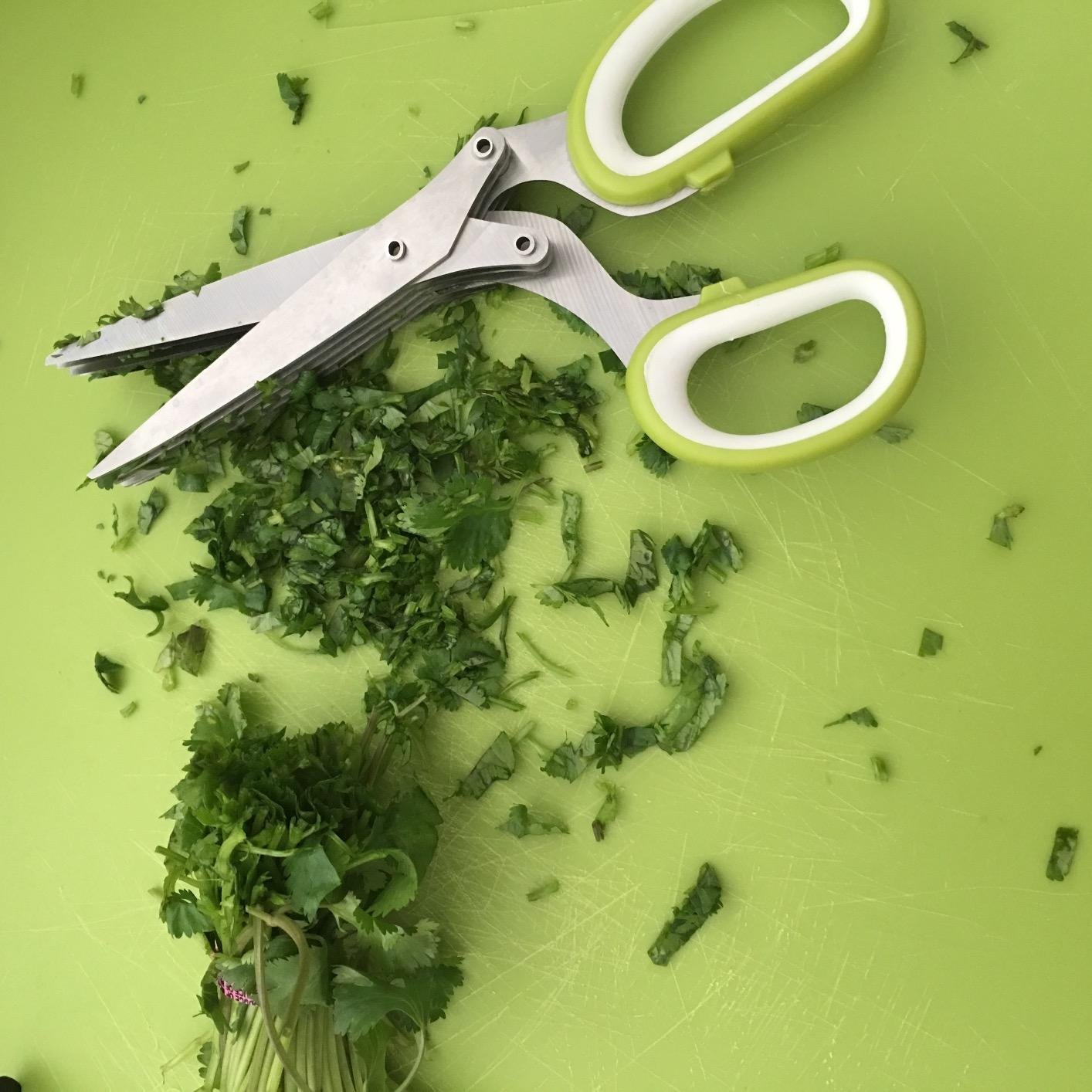 Jenaluca 5-Blade Herb Scissors, Stainless Steel Kitchen Shears, Green customer photo 1