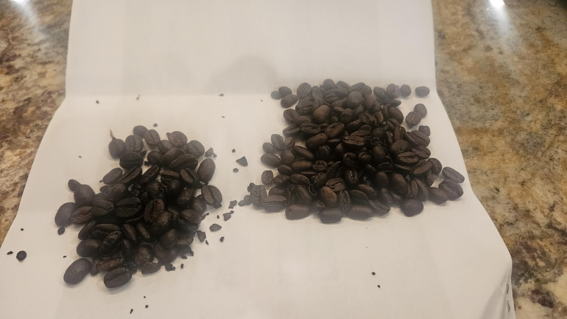 2LB Subtle Earth Organic Coffee - Medium-Dark Roast - Whole Bean Coffee - 100% Arabica Beans - Low Acidity and Non-GMO - 2lb bag customer photo 1