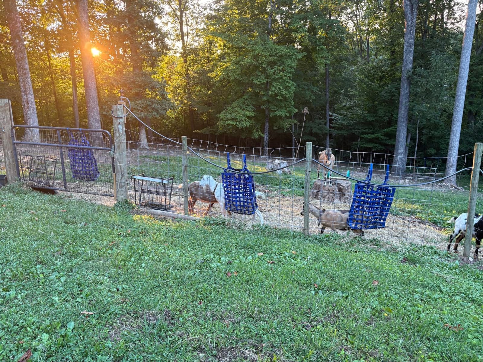 Derby Originals Superior Slow Feeder Horse Hay Bag with Super Tough Bottom and 1 Year Warranty customer photo 2