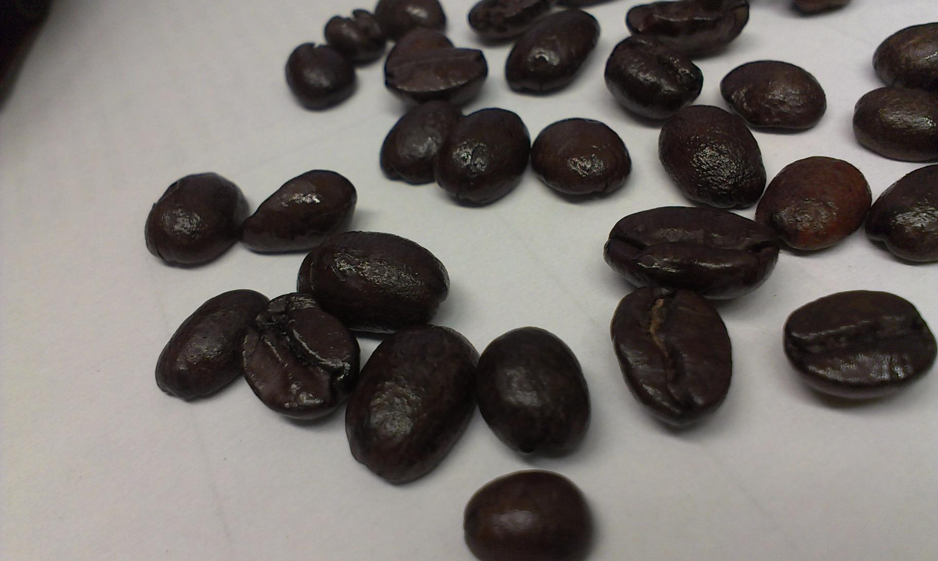 5LB Don Pablo Signature Blend - Medium-Dark Roast - Whole Bean Coffee - Low Acidity - 5 Pound (5 lb) Bag customer photo 2