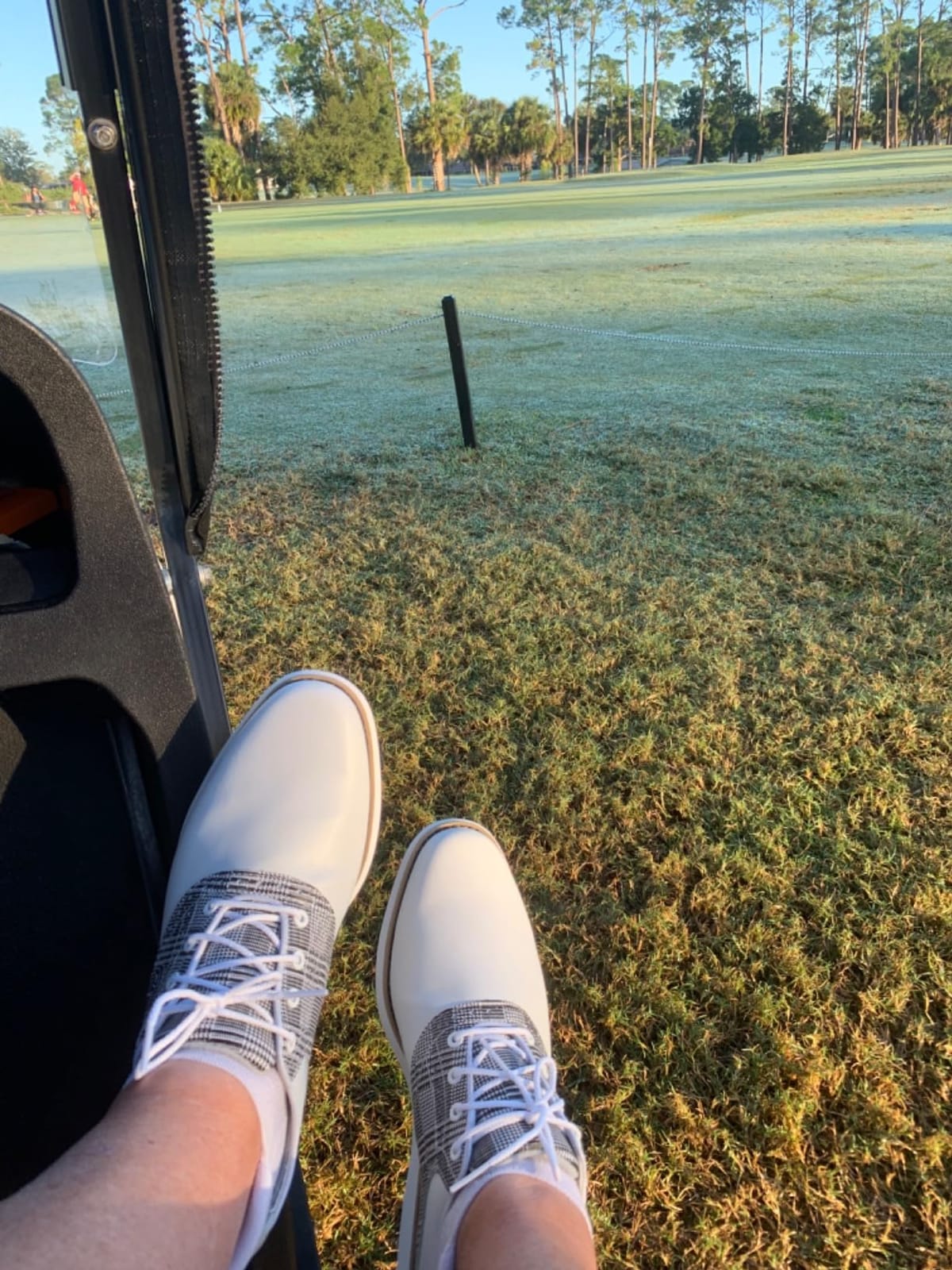FootJoy Women's Traditions Golf Shoe customer photo 2