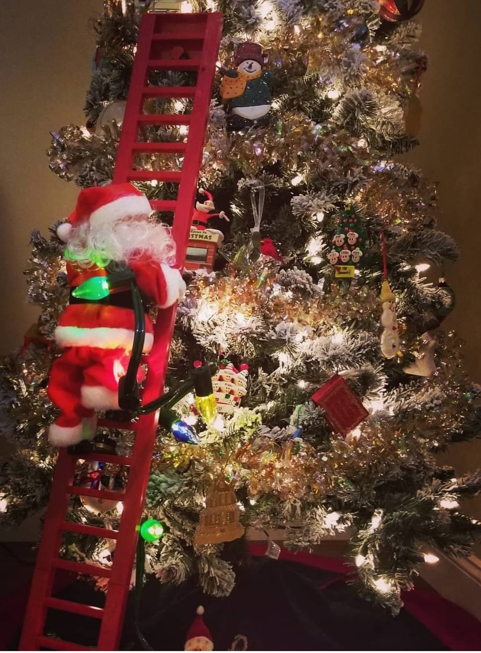 Mr. Christmas Super Climber Musical Animated Christmas Decoration, 42 Inches, Plush White Santa Claus customer photo 2