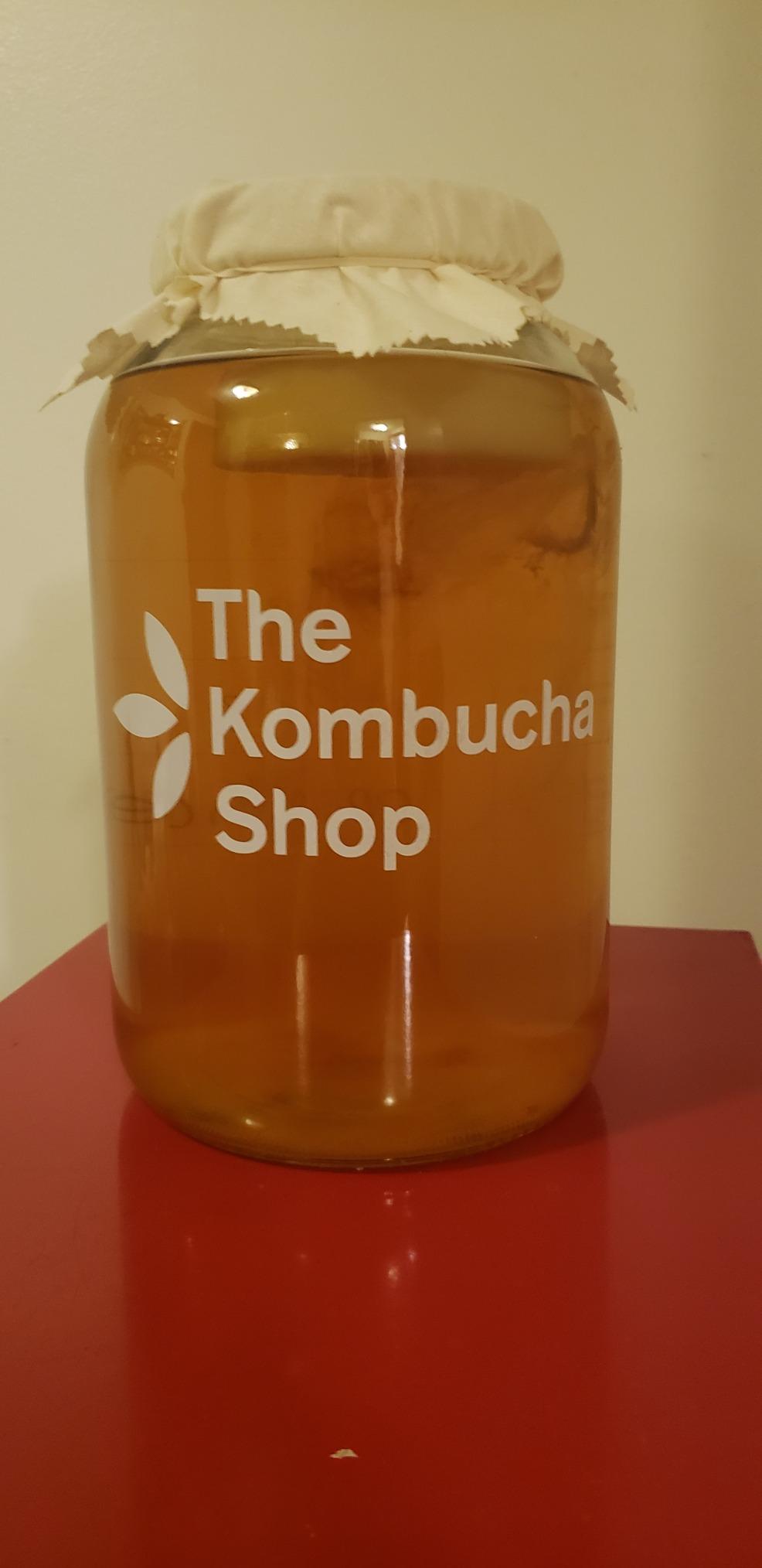 Deluxe Organic Kombucha Starter Kit - Six Swing Top Bottles, Stainless Steel Funnel, Custom Bottle Brush & Our Original Brewing Kit - The Kombucha Shop customer photo 1