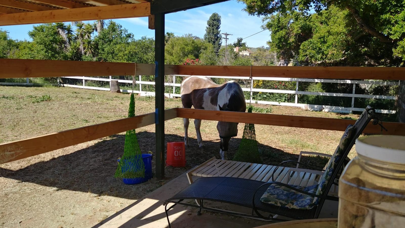 Weaver Equine Slow Feed Hay Net, 36” Small Hole Synthetic Rope Horse Hay Feeder for Slower Feeding, Ideal Horse Hay Net for Horse or Goat Shows customer photo 2