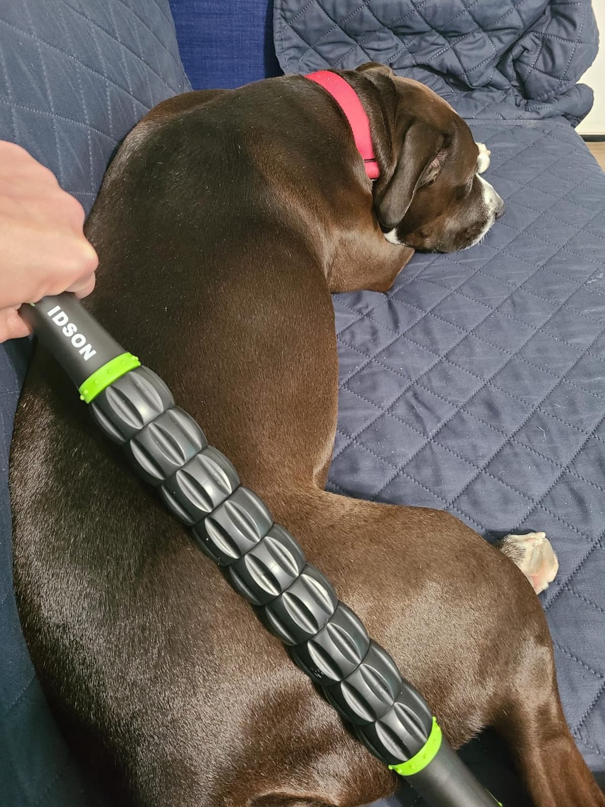 Idson Muscle Roller Stick for Athletes- Body Massage Sticks Tools Massager for Relief Muscle Soreness,Cramping and Tightness,Help Legs and Back Recovery,Black Green customer photo 1