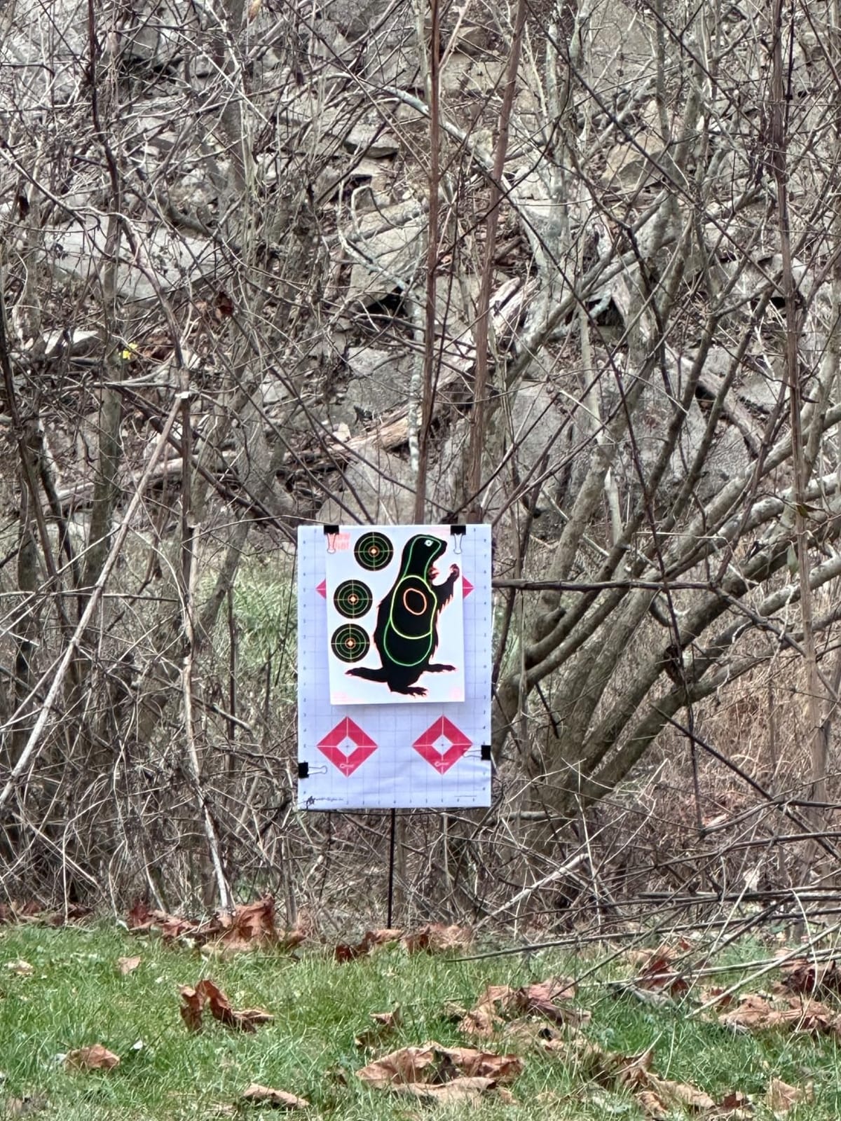 Caldwell Ultra Portable Target Stand 12