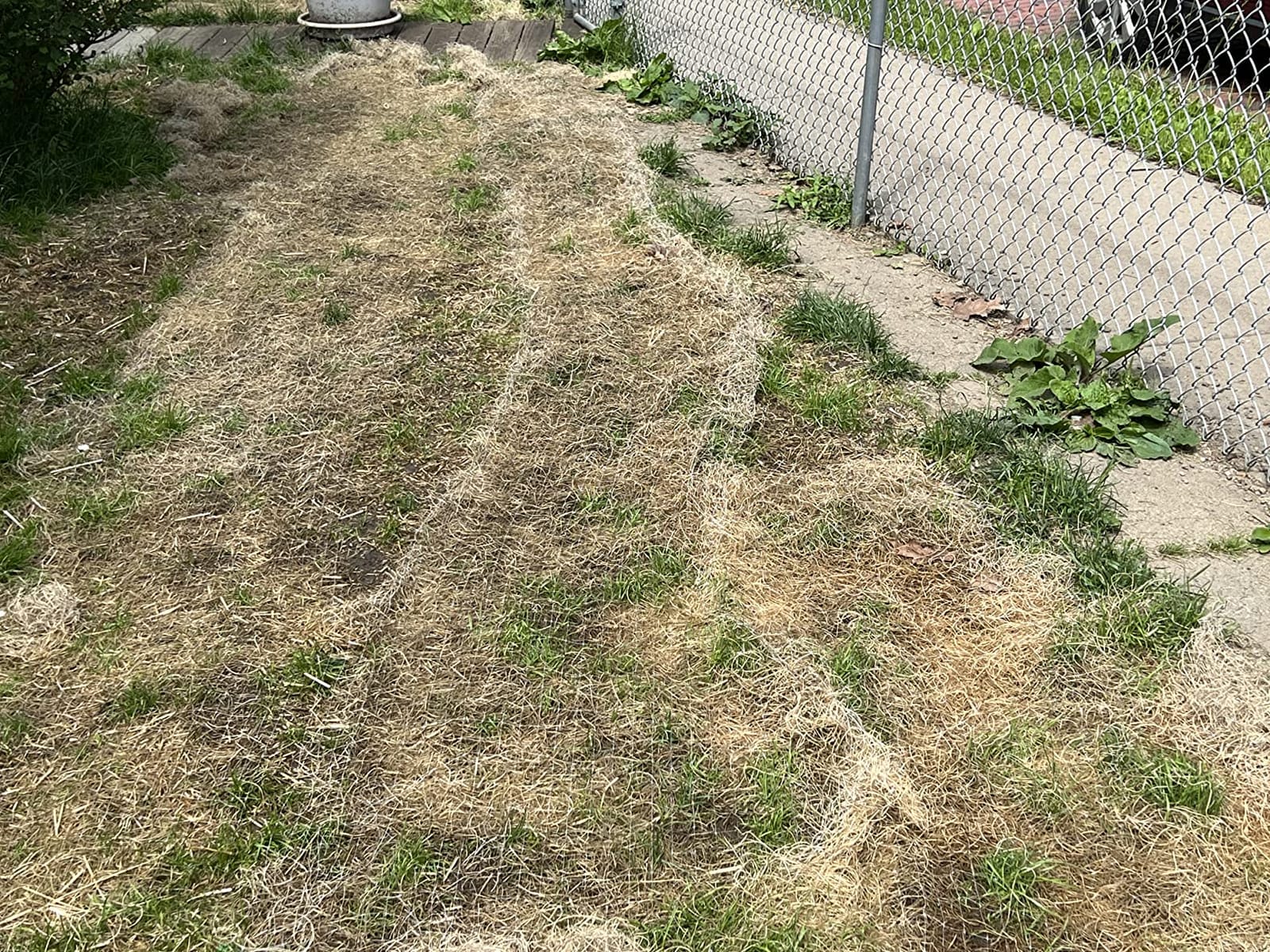 American Excelsior QuickGrass Pro Erosion Control Blanket Landscape Roll - 2-1/2'x50' customer photo 1