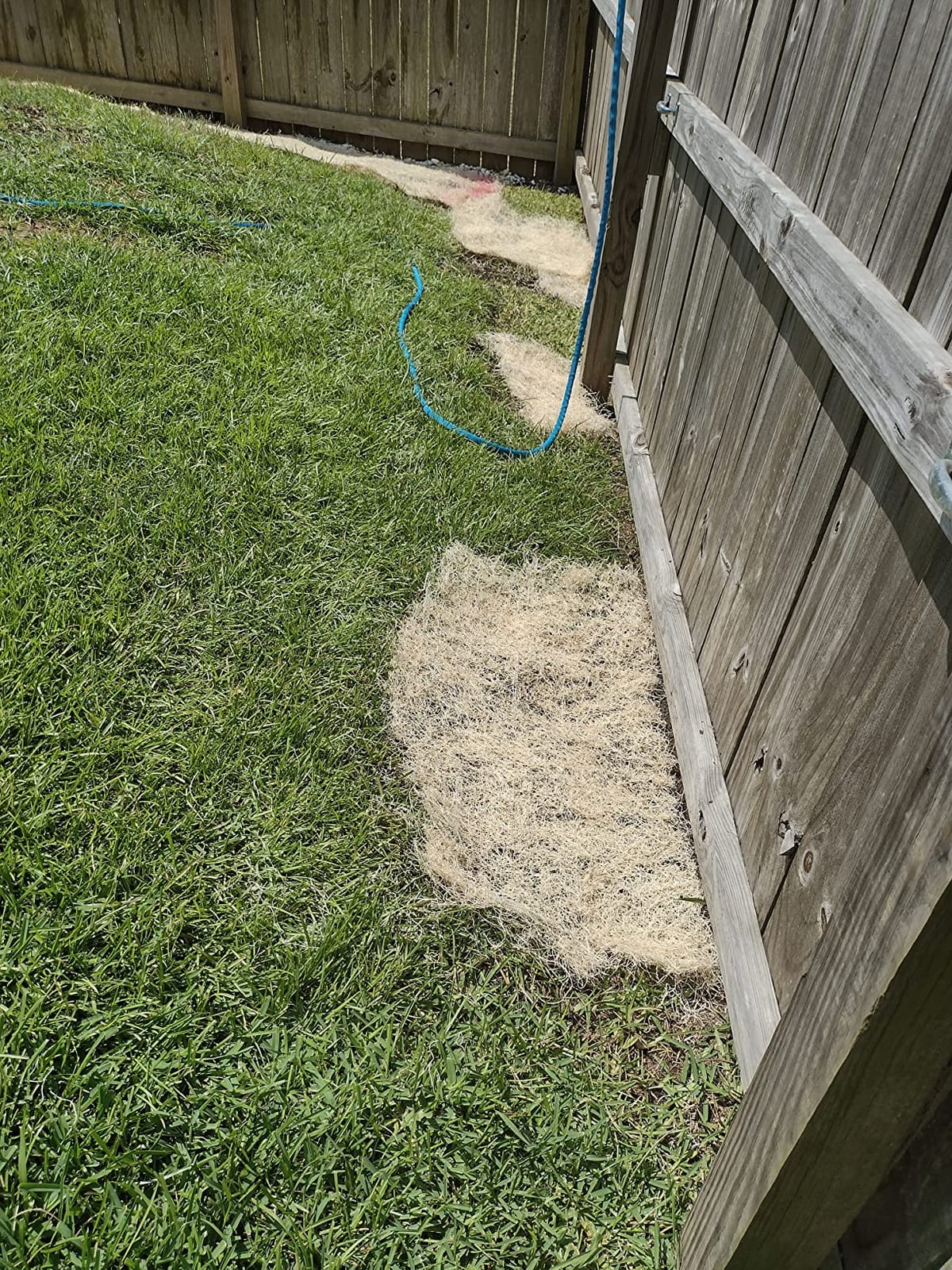 American Excelsior QuickGrass Pro Erosion Control Blanket Landscape Roll - 2-1/2'x50' customer photo 2