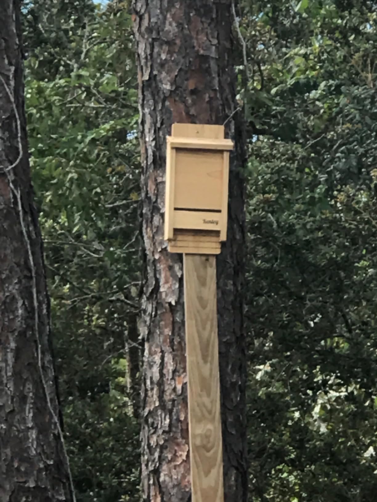 Bat House - Handcrafted Bat Box for Outside from Cedar Wood - One Chamber customer photo 2