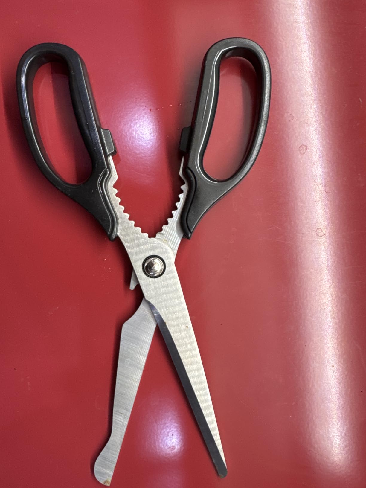 Korean BBQ Kalbi Meat Cutting Scissors Large All Purpose Stainless Steel Utility Kitchen Shears for Food customer photo 1