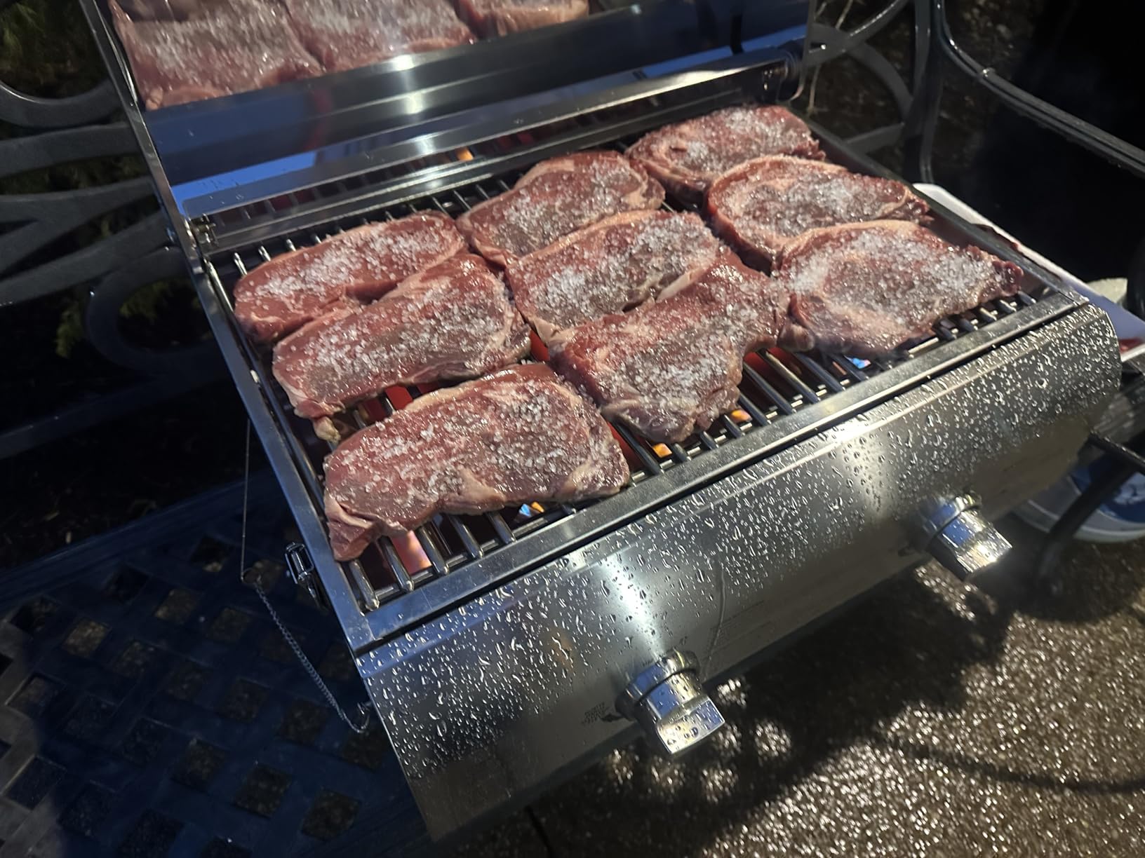 Pit Boss Grills 75275 Stainless Steel Two-Burner Portable Grill customer photo 1