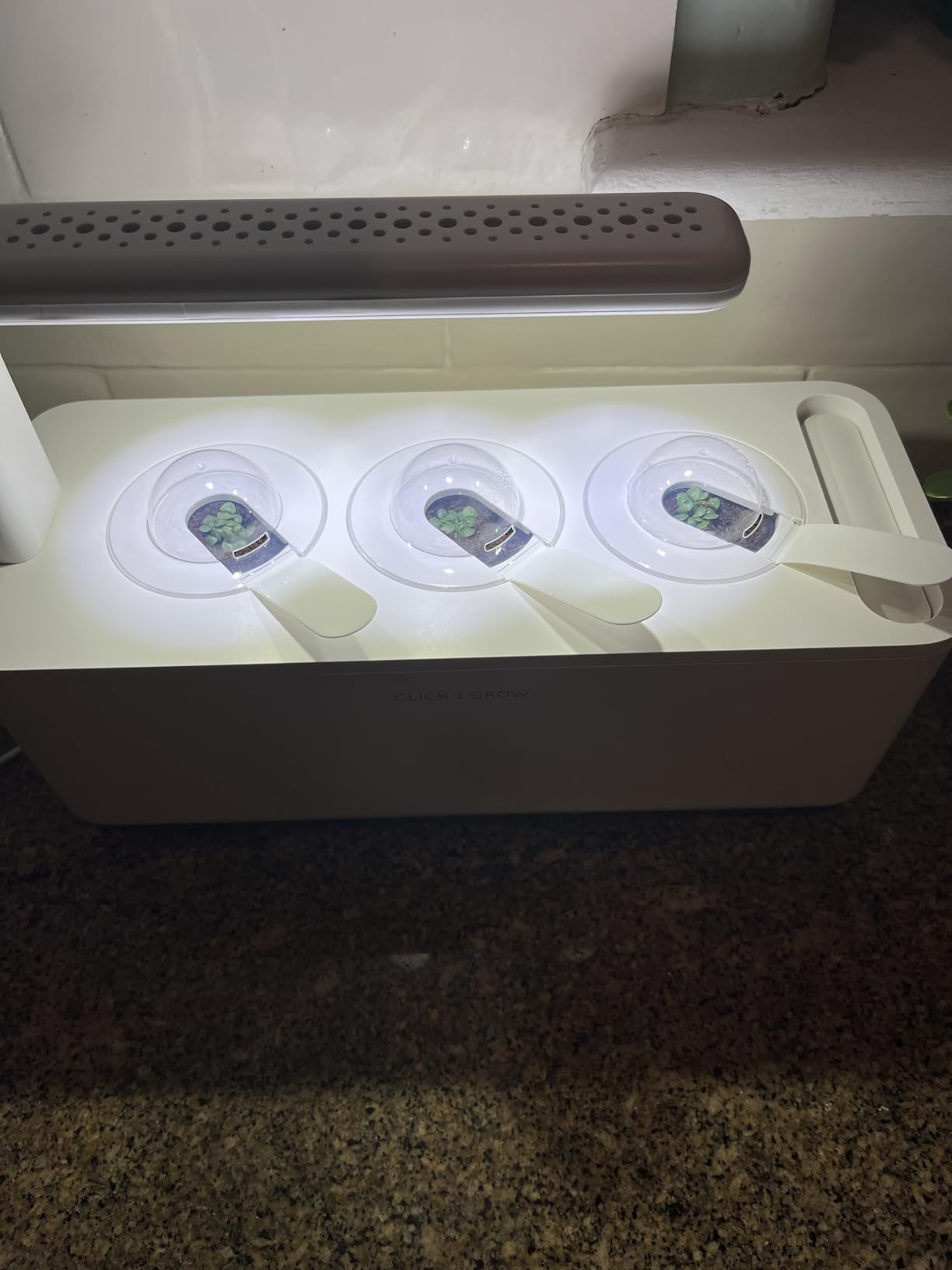 Click & Grow Indoor Herb Garden Kit with Grow Light | Smart Garden for Home Kitchen Windowsill | Easier Than Hydroponics Growing System | Vegetable Gardening Starter (3 Basil Pods Included), White customer photo 2