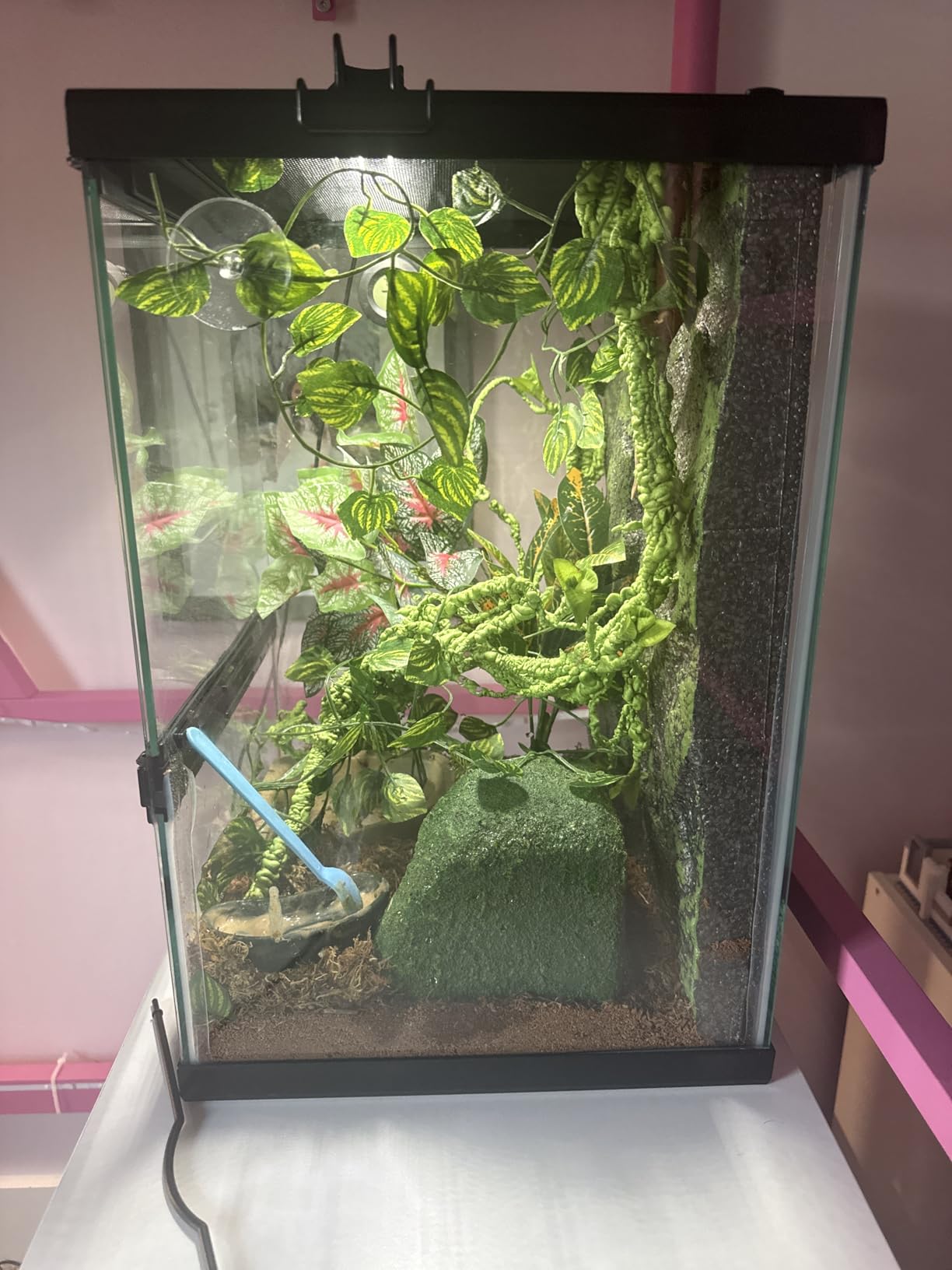 Zilla 11 Gallon Glass Tropical Vertical Terrarium Kit customer photo 1
