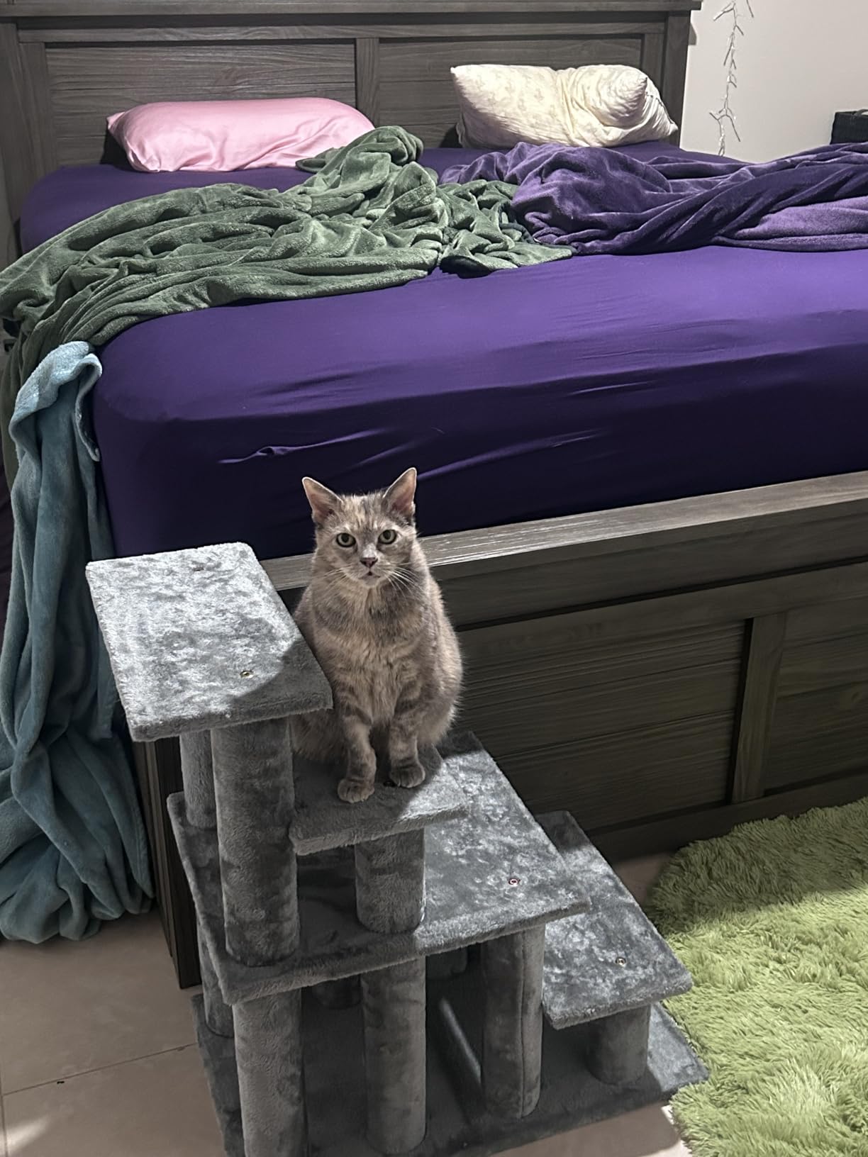 Furhaven Steady Paws Multi-Step Pet Stairs for High Beds & Sofas - Cream, 3-Step customer photo 2