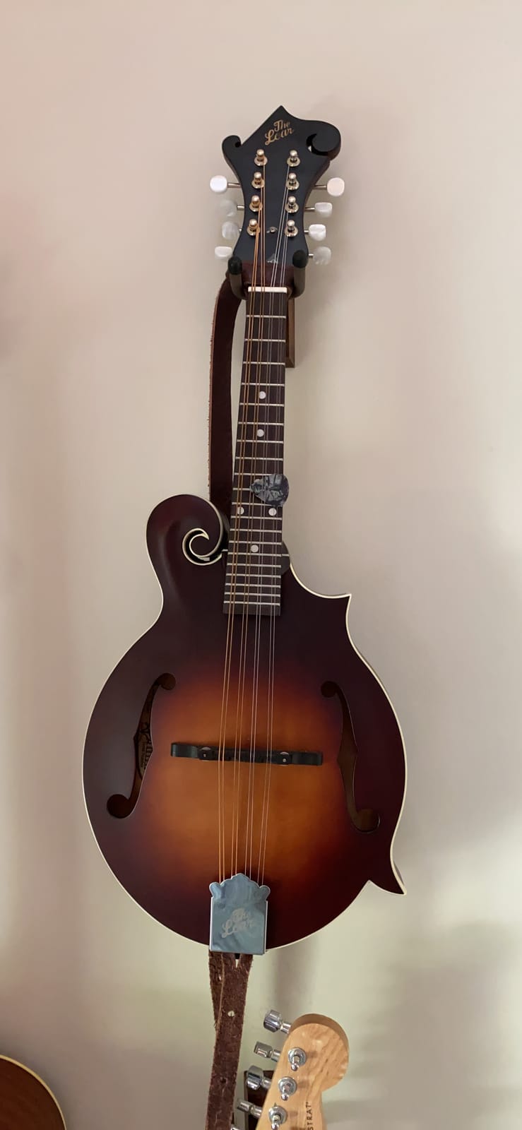 The Loar LM-310F-BRB Honey Creek F-Style Mandolin customer photo 1