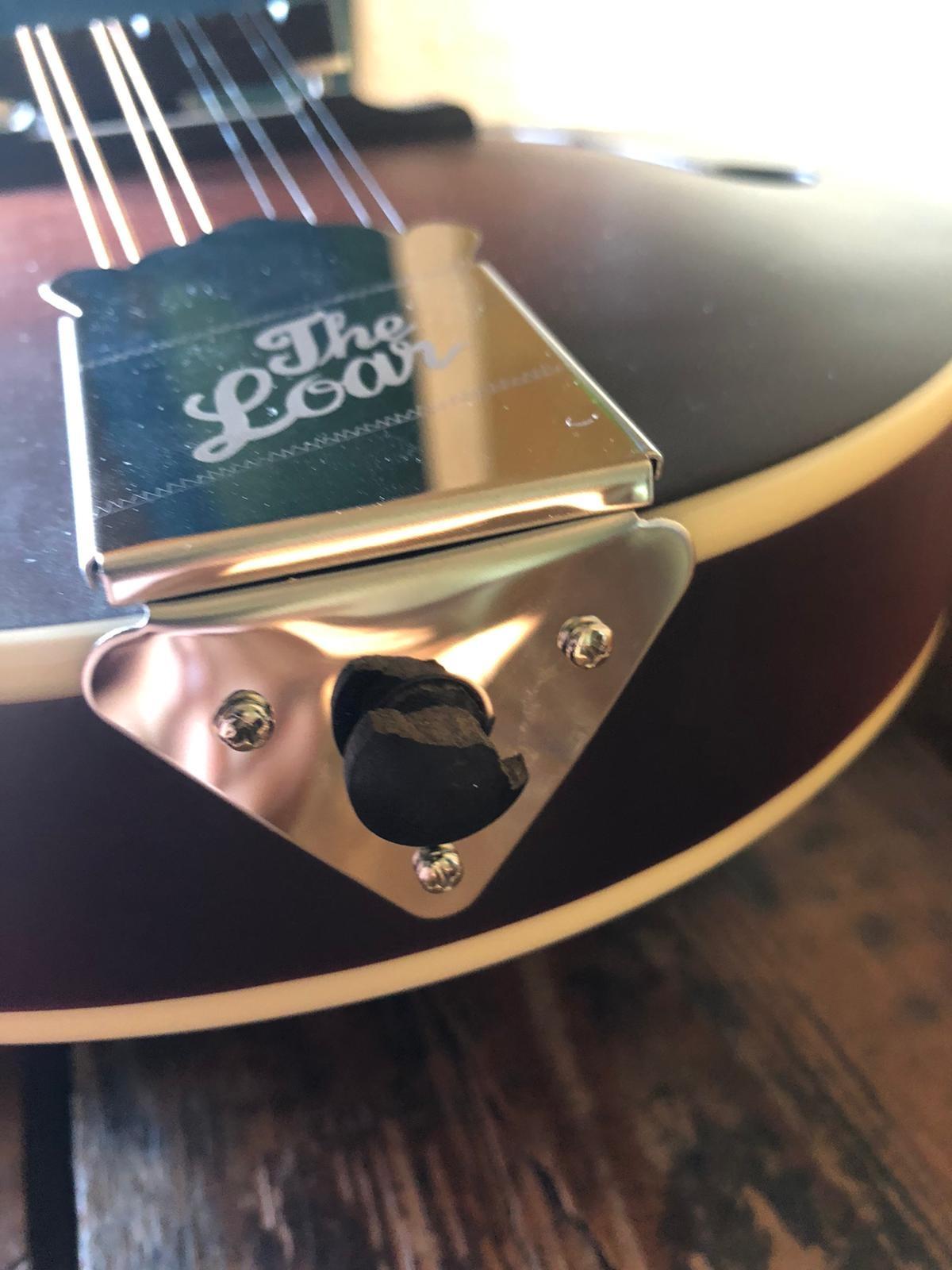 The Loar LM-310F-BRB Honey Creek F-Style Mandolin customer photo 2