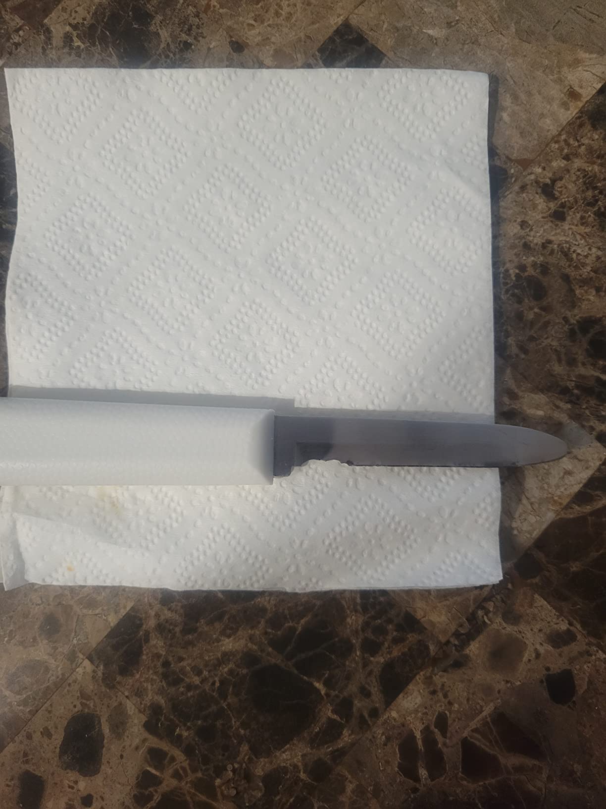 Mercer Culinary Clam Knife with Poly Handle, 3-1/4, White customer photo 1
