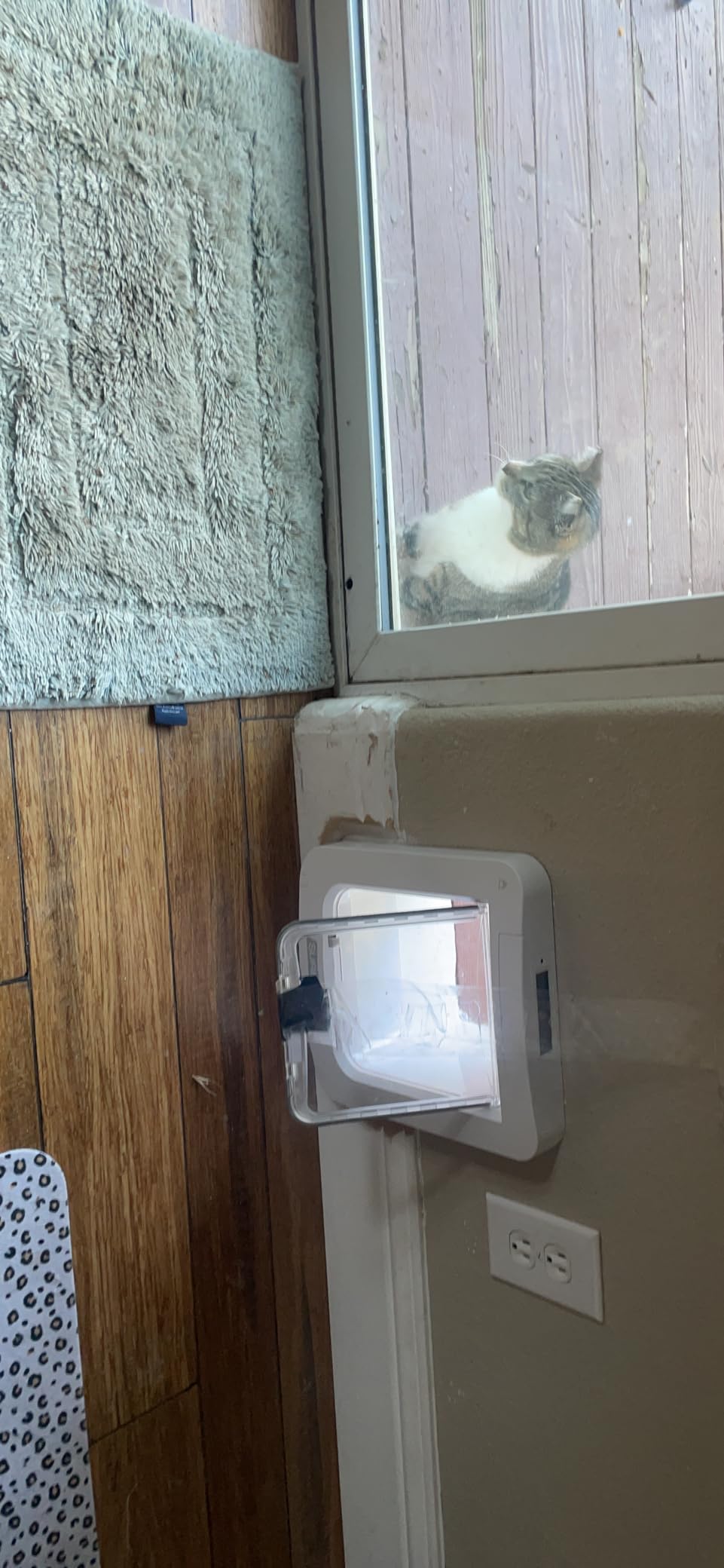 SureFlap Microchip Pet Door Connect Without Hub - Flap Opening is 6 3/4 inches by 7 inches customer photo 1