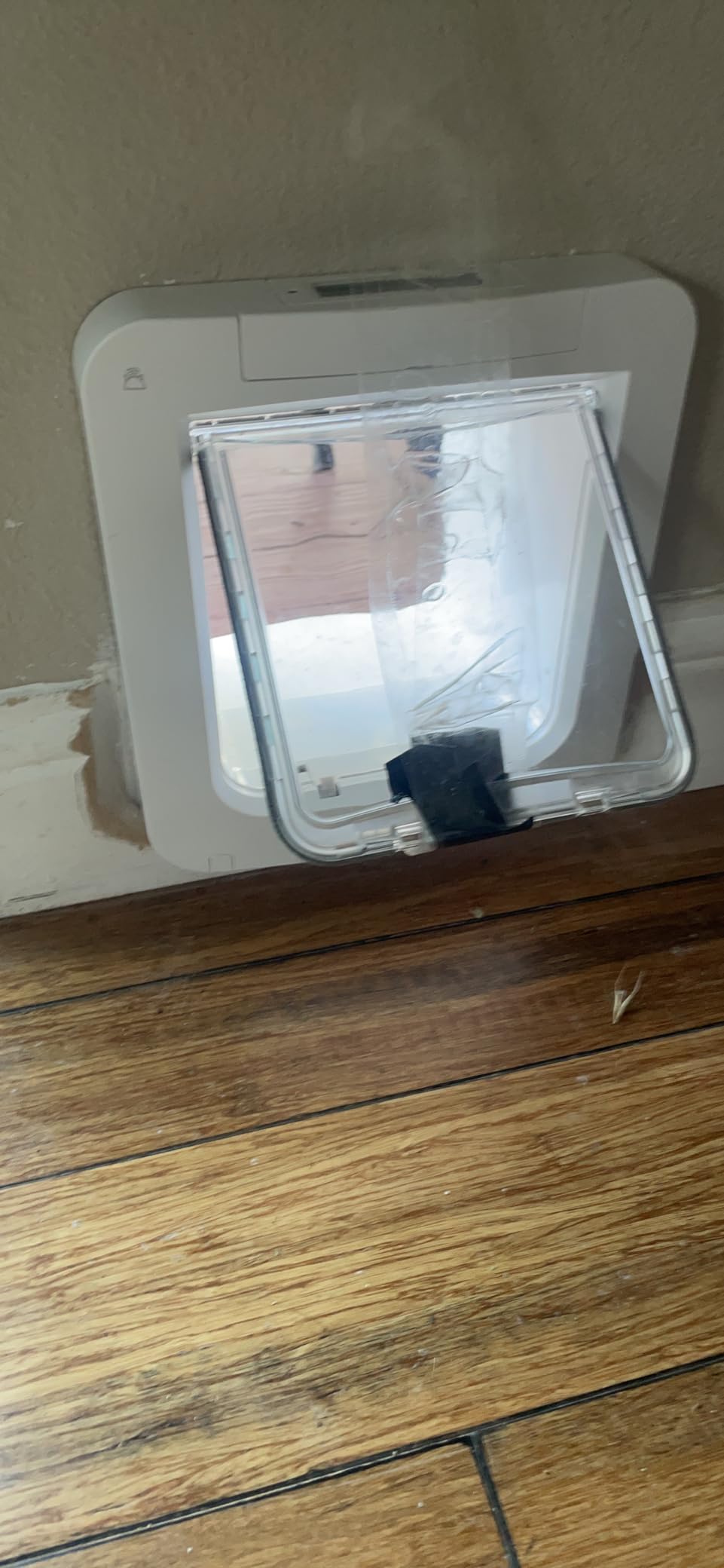SureFlap Microchip Pet Door Connect Without Hub - Flap Opening is 6 3/4 inches by 7 inches customer photo 2