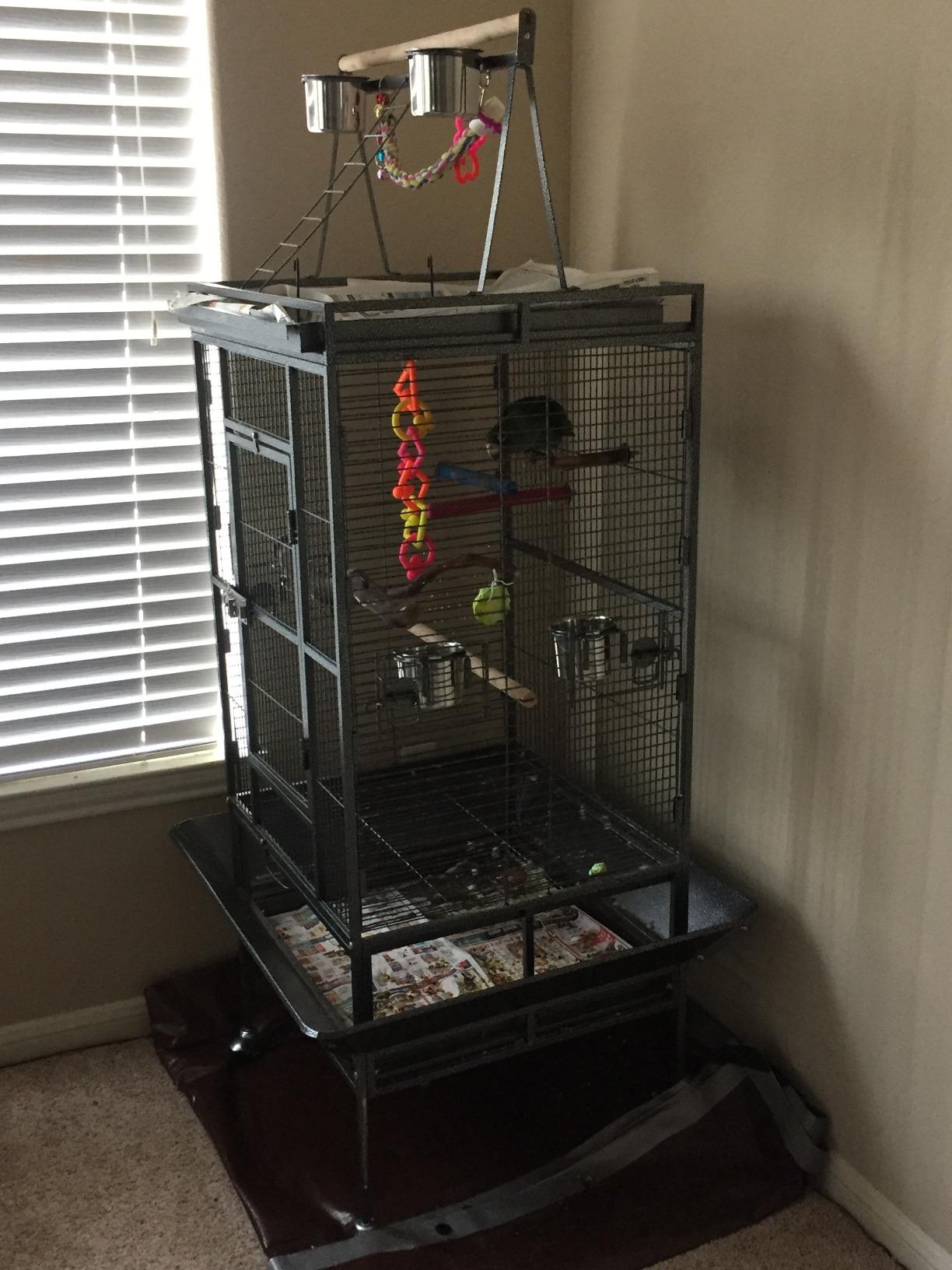 Nova Microdermabrasion 68-Inch Height Wrought Iron Standing Large Play Top Bird Cage for African Grey Small Quaker Parrot Cockatiel Sun Parakeet Green Cheek Conure Dove Budgie Lovebird customer photo 2