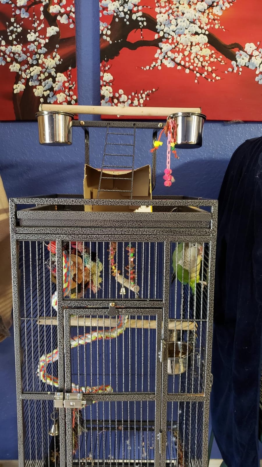 SUPER DEAL PRO 61-inch 2in1 Large Bird Cage with Rolling Stand Playtop Parrot Chinchilla Finch Cage Macaw Conure Cockatiel Cockatoo Pet House Wrought Iron Birdcage, Black customer photo 2