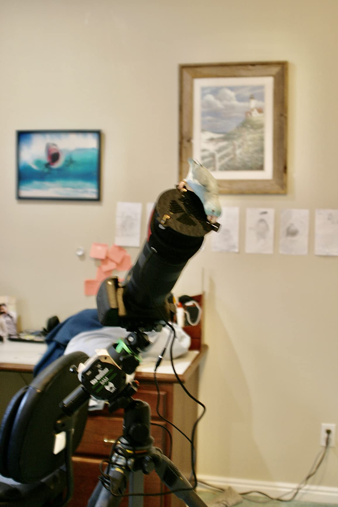 Sky-Watcher Star Adventurer Mini – Motorized DSLR Night Sky Tracking Mount For Nightscapes, Time-lapse, and Panoramas customer photo 2