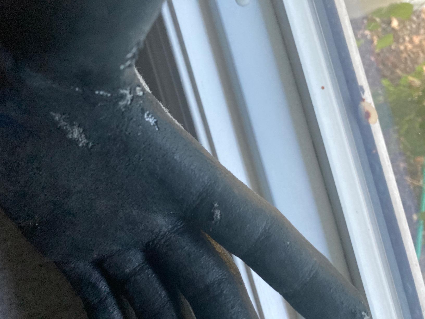 DEX FIT Level 5 Cut Resistant Gloves Cru553, 3D-Comfort Fit, Firm Grip, Thin & Lightweight, Touch-Screen Compatible, Durable, Breathable & Cool, Machine Washable; Grey M (8) 1 Pair customer photo 2