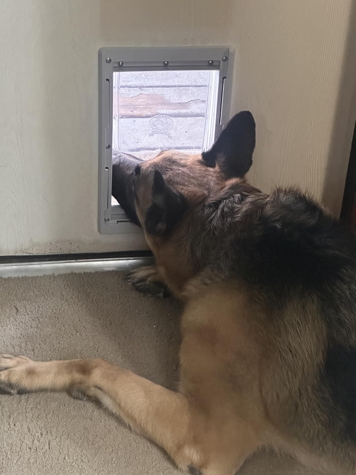 Ideal Pet Products Designer Series Plastic Pet Door customer photo 1