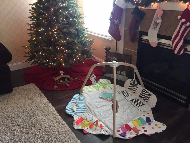 Lovevery, The Play Gym, 5-Stage Baby Developmental for Full Year of Play customer photo 1