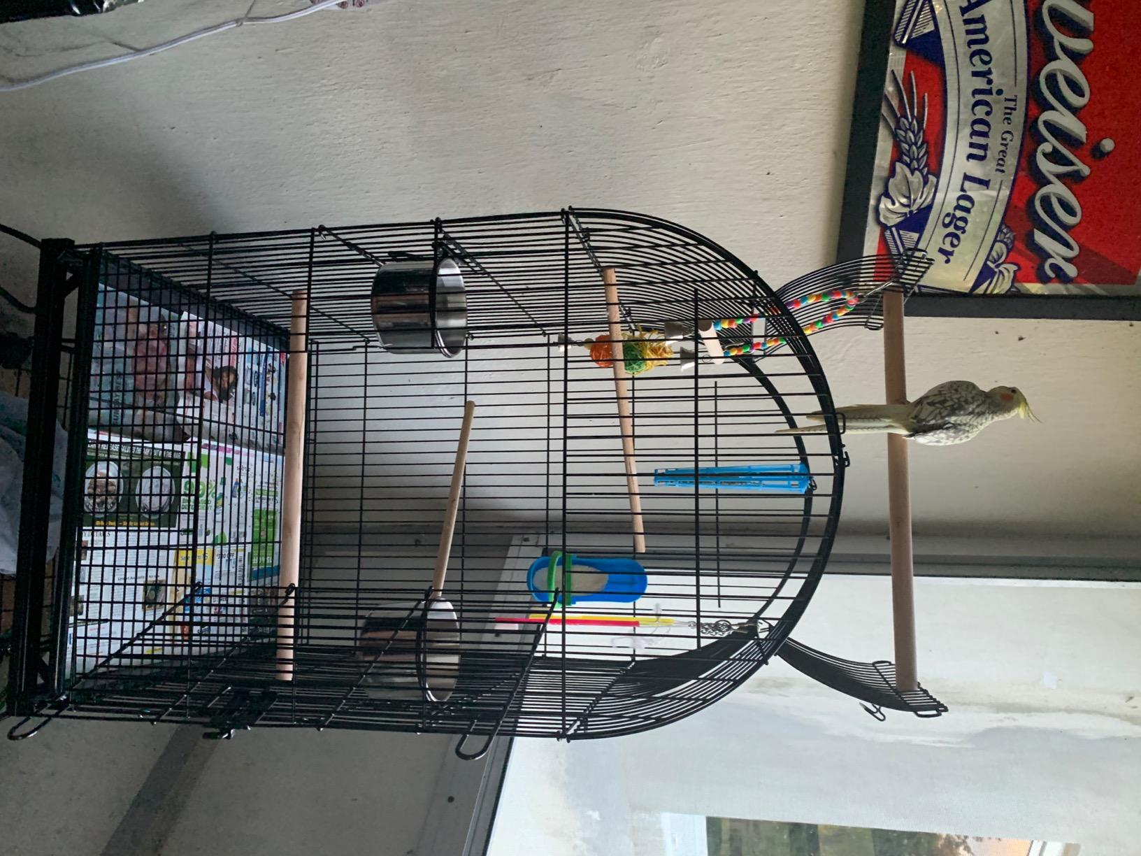 Yaheetech 59-inch Dome Open Top Large Medium Parrot Bird Cage On Stand for Sun Parakeets Conures Quaker Parrot Rolling Cockatiel Bird Cage customer photo 1