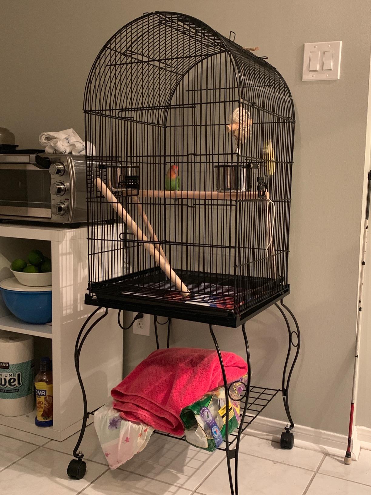 Yaheetech 59-inch Dome Open Top Large Medium Parrot Bird Cage On Stand for Sun Parakeets Conures Quaker Parrot Rolling Cockatiel Bird Cage customer photo 2