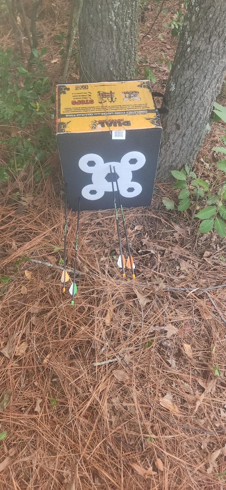 Morrell Yellow Jacket Dual Threat Foam Archery Target Block for Compound Bows and Crossbows, with 4 Sides and 32 Bullseyes, Yellow customer photo 2