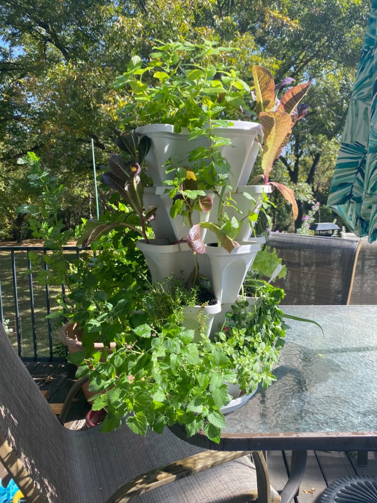 Mr. Stacky© 5-Tier 13 inch Wide - (Stone Color) Strawberry and Herb Garden Planter - Stackable Gardening Pots with 10 Inch Saucer customer photo 1