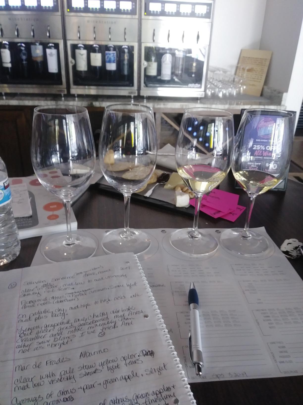 Wine Folly Tasting Placemats – 20-Pack Disposable Note-Taking Mats (12